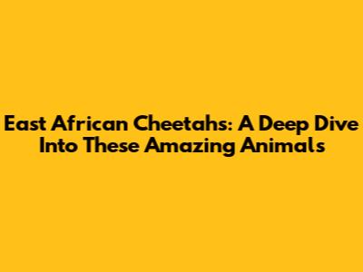 East African Cheetahs: A Deep Dive Into These Amazing Animals